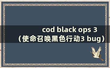 cod black ops 3（使命召唤黑色行动3 bug）